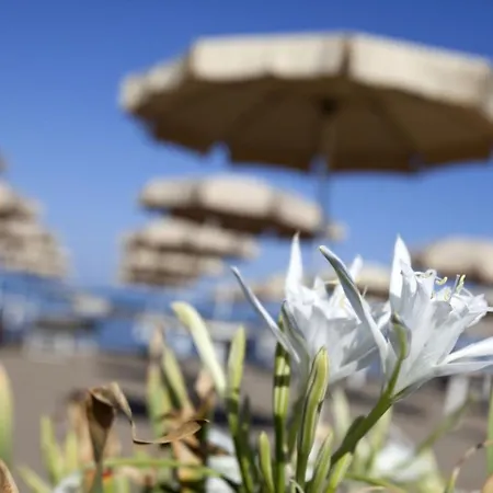 Happy Sea - Monolocale Sul Mare Appartamento Albinia